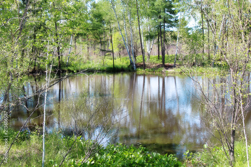 water, nature, landscape, lake, reflection, park, forest, summer, sky, blue, green, natural, travel, season, tree, spring, scenic, outdoors, cloud, beautiful, river, national, environment, trees, tree
