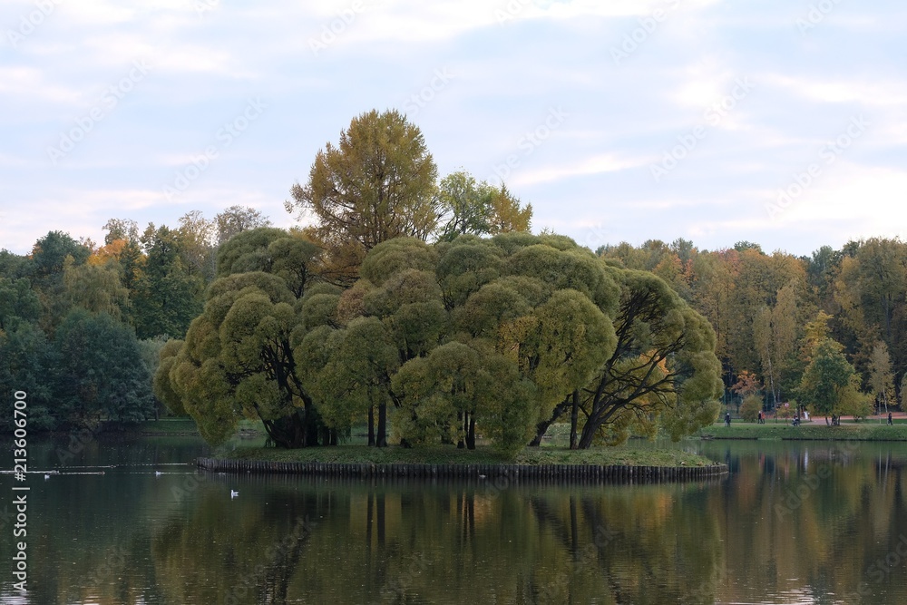 Fototapeta premium island on the lake