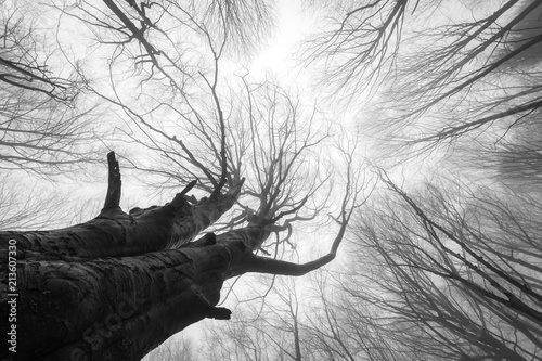 Czech Republic landscape