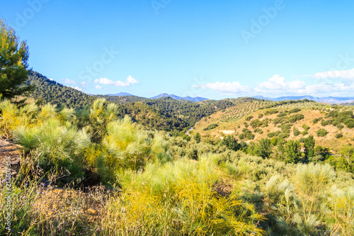 View of the Parque