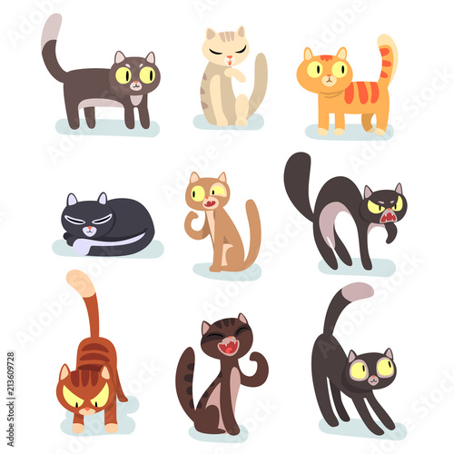 Flat vector set of different cats. Funny cartoon characters. Home pets. Cute domestic animals. Elements for poster, sticker or mobile game