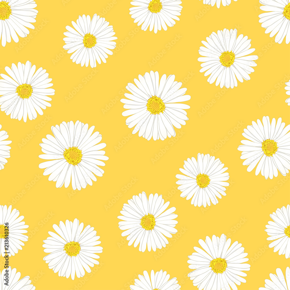 White Aster, Daisy Seamless on Yellow Background