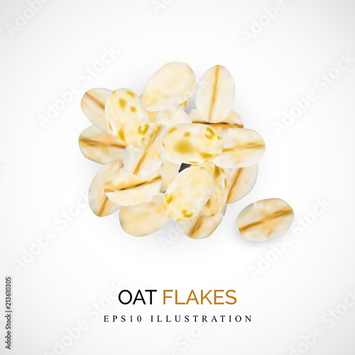 Dry Raw Oat Flakes or Oatmeal Vector Illustration