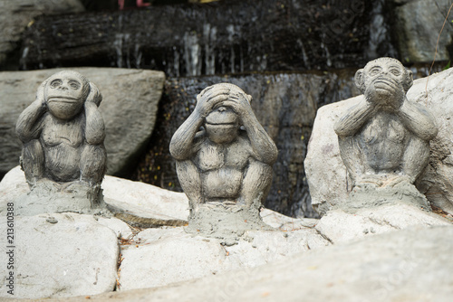 Three wise monkeys photo