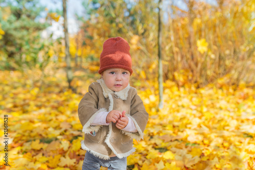 Little beautiful girl in warm clothes stand among autumn foliage in forest.