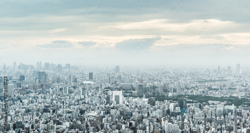 Asia Business concept for real estate and corporate construction - panoramic urban city skyline aerial view under twilight sky and golden sun in tokyo, Japan Asia Business concept for real estate and corporate construction - panoramic urban city skyline aerial view under twilight sky and golden sun in tokyo, Japan