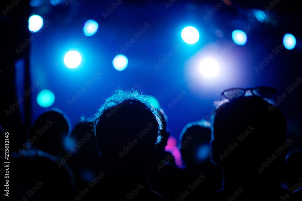 Silhouettes of fans in front of bright blue scene lights