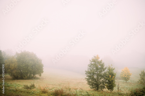 Misty Landscape. Morning Fog Over Misty Meadow. Autumn Nature Of Eastern Europe