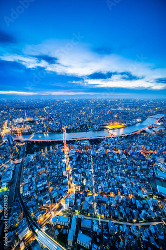Asia Business concept for real estate and corporate construction - panoramic urban city skyline aerial view under twilight sky and neon night in tokyo, Japan © voyata
