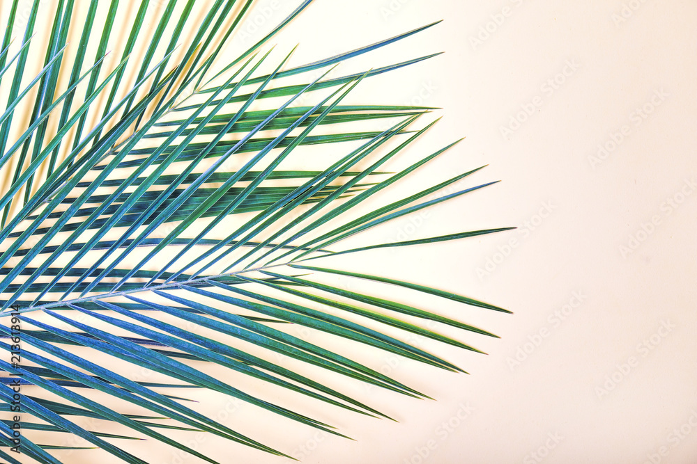 Fototapeta premium Tropical leaves on pastel pink background.