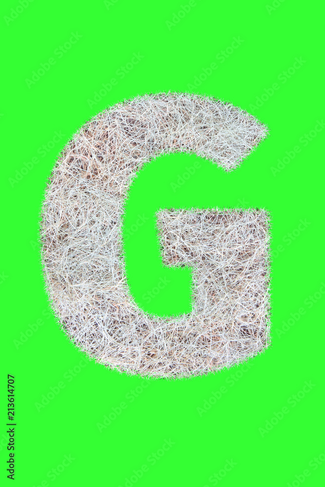 Fonts and Alphabet From Drygrass or Hay Isolate on Green. G. Fonts and Alphabet From Drygrass or Hay Isolate on Green. G.