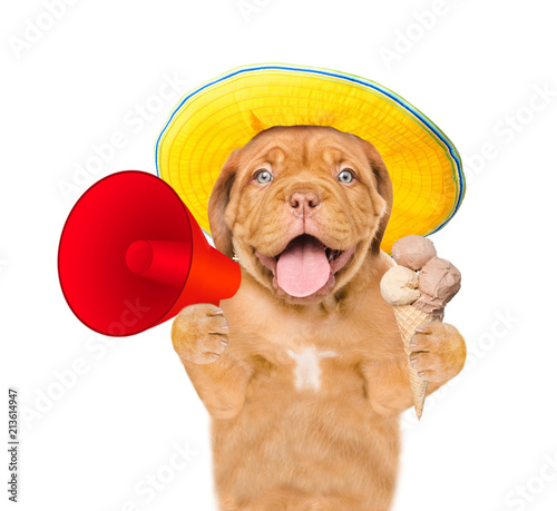 Funny dog in summer hat holds ice cream and megaphone. isolated on white background