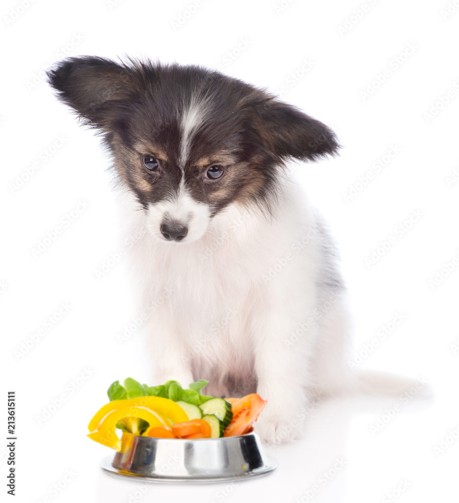 Papillon puppy with a bowl of vegetables. isolated on white background