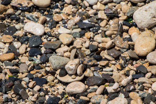 The surface of the pebble on the beach. Little rock texture.