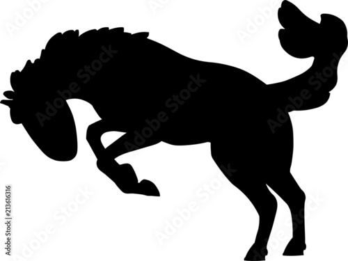 Rodeo Horse Bronco