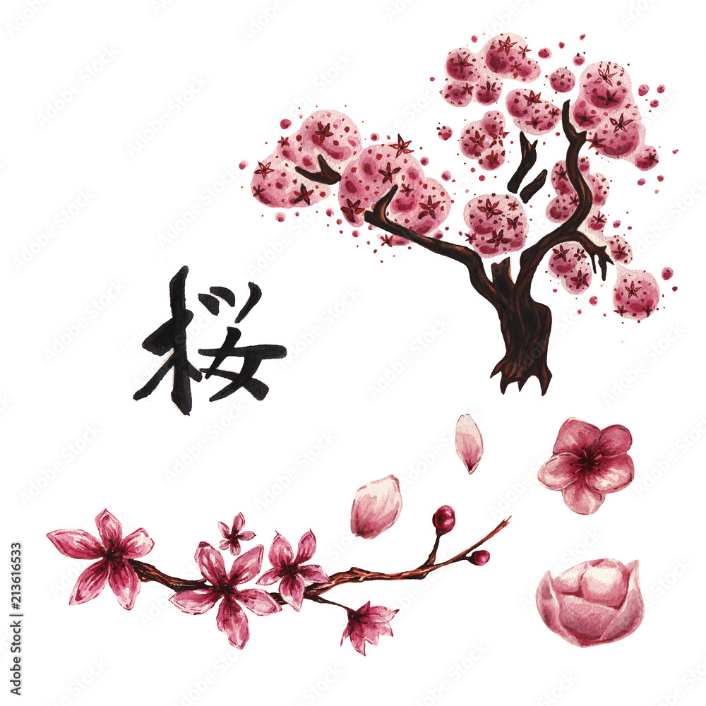 Fototapeta premium Watercolor sakura set