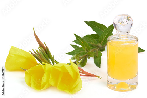 liquor with evening primrose oil