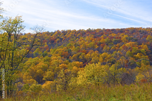 Foothills with forest in autumn colors. Deciduous forest in late autumn.