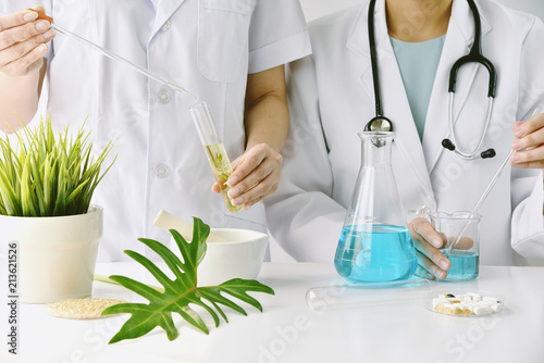 Modern and traditional medical, Alternative organic herbal drug and chemical medicine, Doctor mixing extraction for new pharmacy formulation, Various treatment healthcare.
