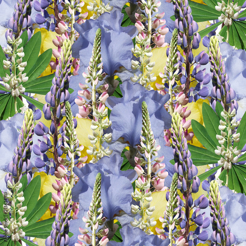 Fototapeta Naklejka Na Ścianę i Meble -  Beautiful floral background of lupins and irises 