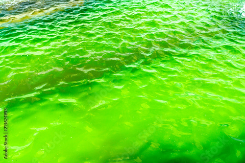 abstract green background of water, rippling waves