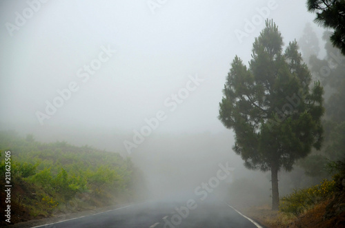 Foggy cloudy road to Teide National Park.Tenerife Canary Islands,Spain. Travel concept.
