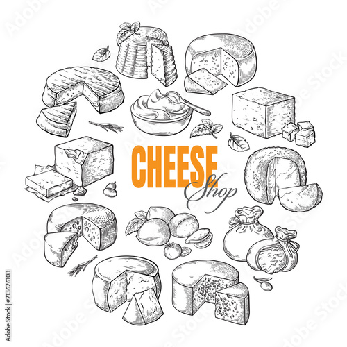 circular background of different cheese top view Vector illustration