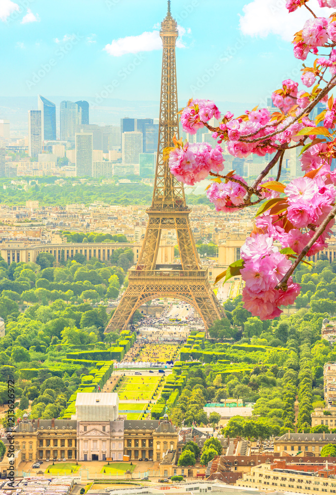Cherry blossom branch in foreground and cityscape skyline of Paris with