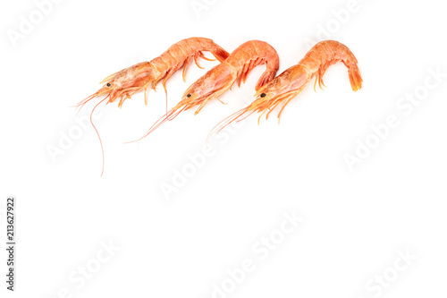 Overhead photo of three raw shrimps on white, with copy space