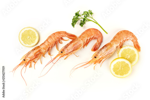 Overhead photo of three raw shrimps on white, with parsley and lemon slices, with copy space