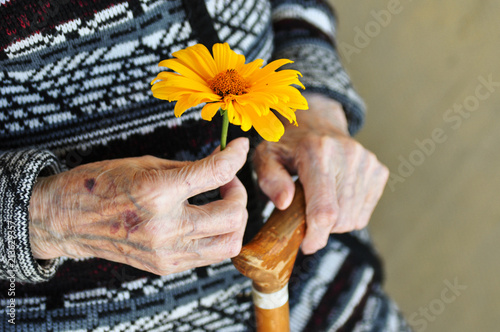 an elderly woman holding a yellow flower and a wooden cane on a summer day on the porch