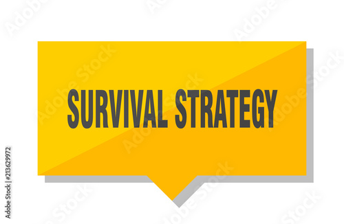 survival strategy price tag