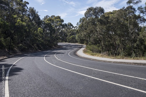 Empty Asphalt Road in Nature on a Bright Day