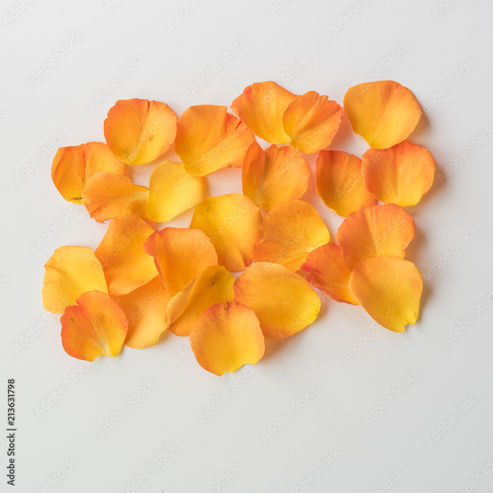pétales de fleurs orange pétales de fleurs orange
