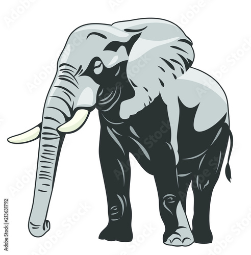 The image of a walking elephant in full growth
