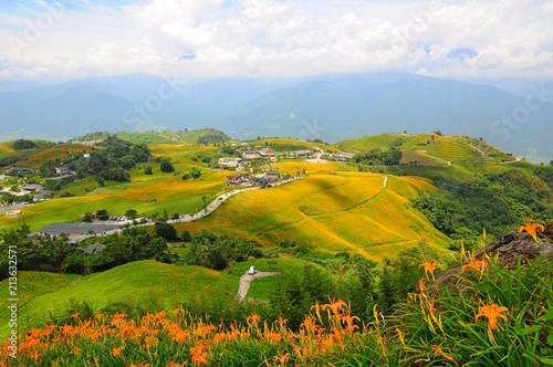 Daylily Flowers Blooming in summer in Liushidan Mountain (Sixty Stone Mountain) in Hualien, Taiwan photo