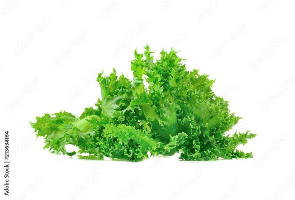 Fototapeta premium Fresh lettuce salad isolated on white background.