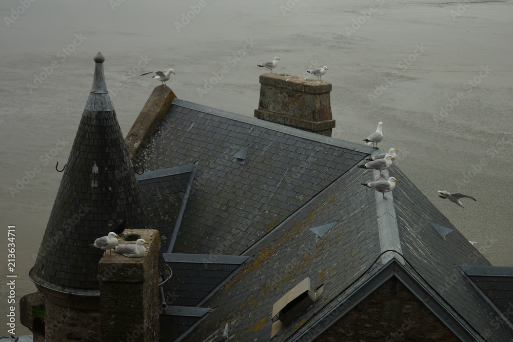 Mt St Michel, France