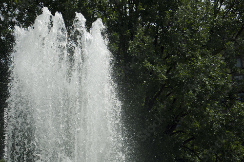 Large top of fountain jet gushing upwards against green foliage