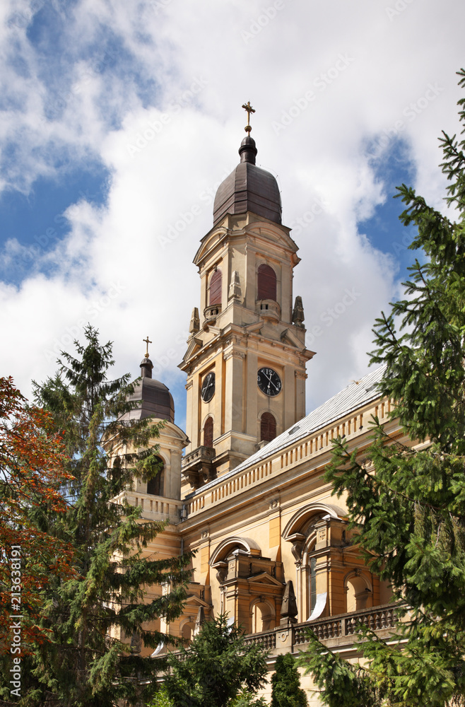 Olosig Roman-Catholic church in Oradea. Romania