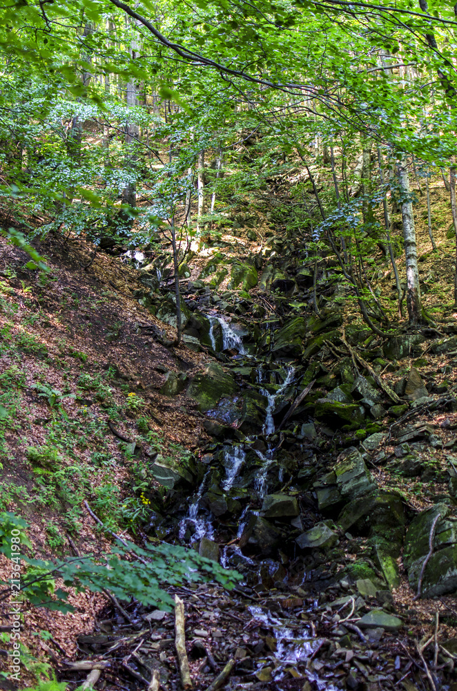 Fototapeta premium leśny wodospad 