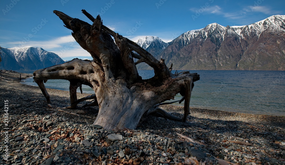 Fototapeta premium Russia. The South Of Western Siberia. Mountain Altai. Late spring on the shore of lake Teletskoye.