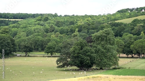 Large grass field in the Weald & Downland Living Museum at Chichester, United Kingdom