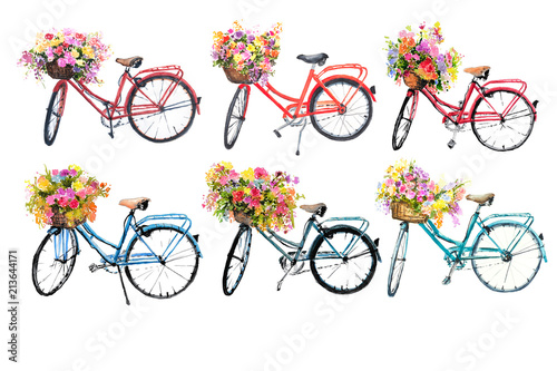Fototapeta Set of watercolor bicycles with flowers in basket, watercolor illustrator, hand painted, bike art