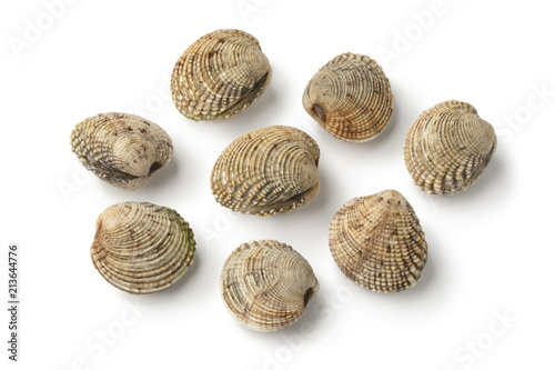  Fresh raw warty venus clams photo