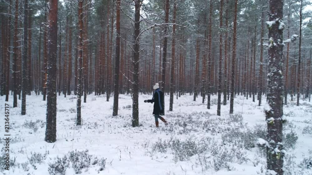 Woman walking in snowy forest in winter dolly shot Woman walking in snowy forest in winter dolly shot