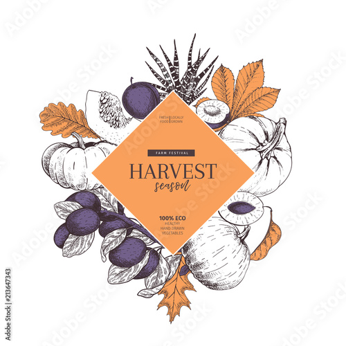 Hand drawn banner of autumn harvest fruits, vegetables. Vector vintage engraved style. Pumpkin, plum, oak, mapple, chestnut leaves. Fall holiday flyer. Thanksgiving, farm festival, food market.