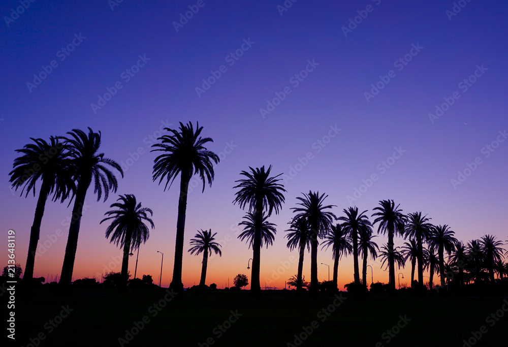 Palm Trees on Sunset