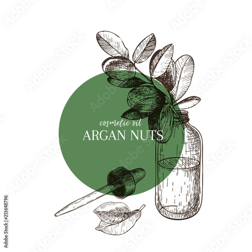 Hand drawn set of essential oils. Vector argan nut. Medicinal herb with glass dropper bottle. Engraved art. Good for cosmetics, medicine, treating, aromatherapy, package design health care.