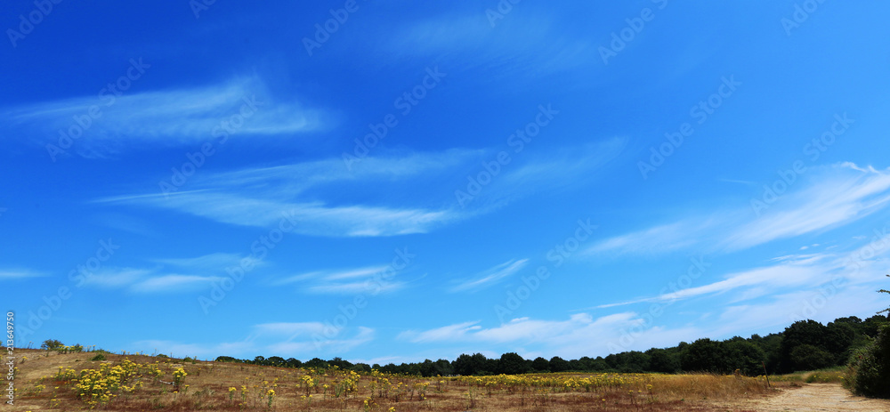 Skies Skies